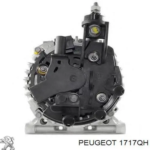 1717QH Peugeot/Citroen Середній глушник