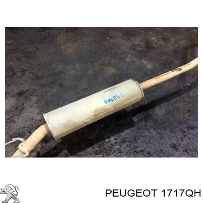Глушник Peugeot/Citroen 1717QH ціна, від 66.85 USD