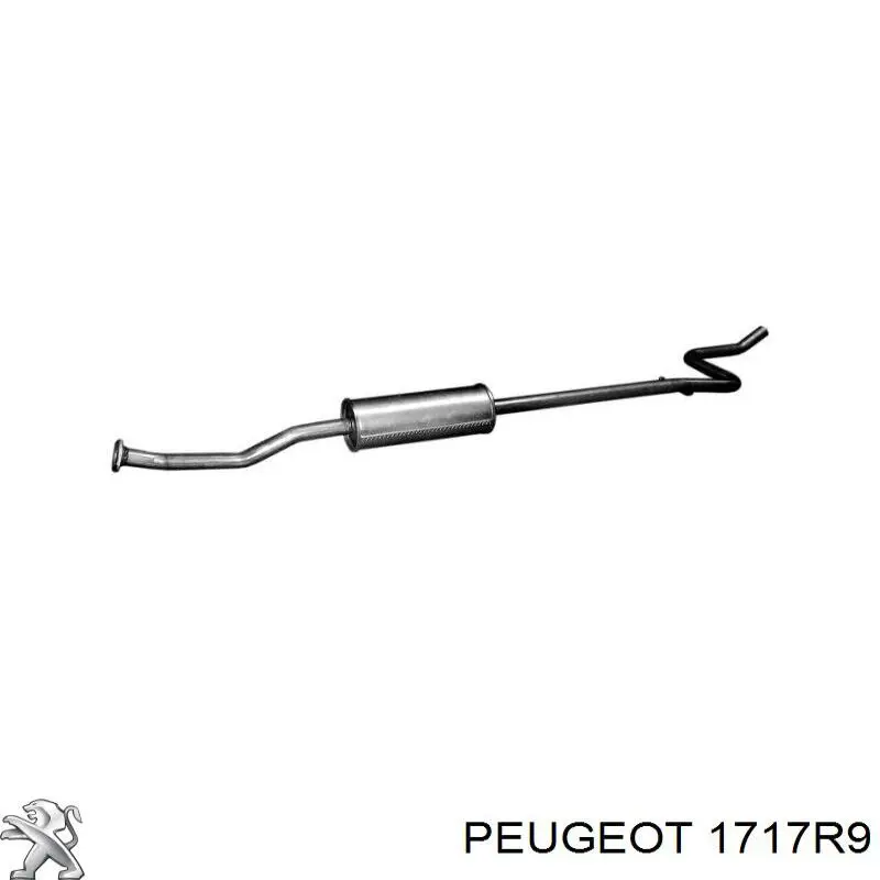 Глушник Peugeot/Citroen 1717R9 ціна, від 65.57 USD