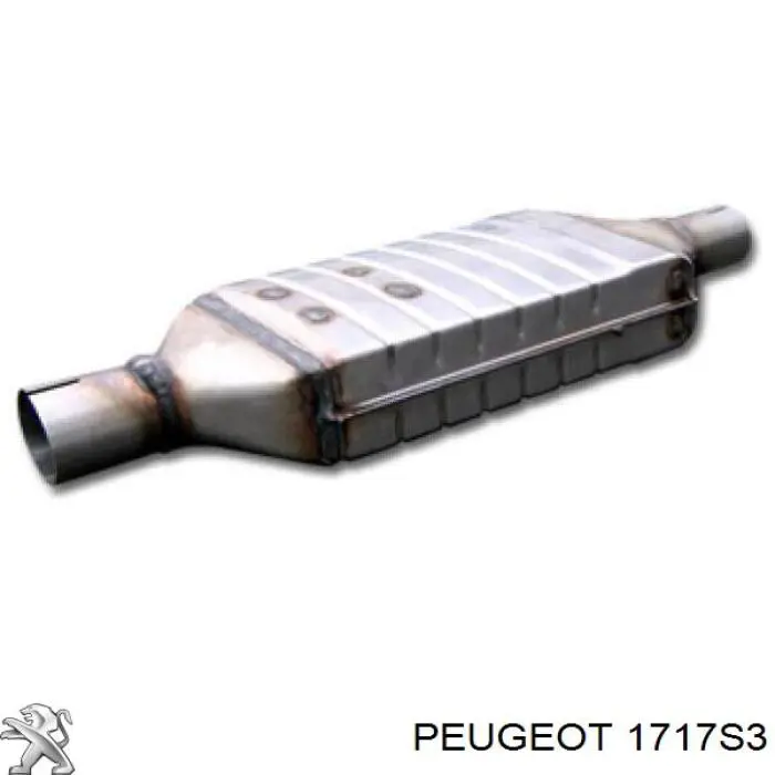 1717S3 Peugeot/Citroen Середній глушник