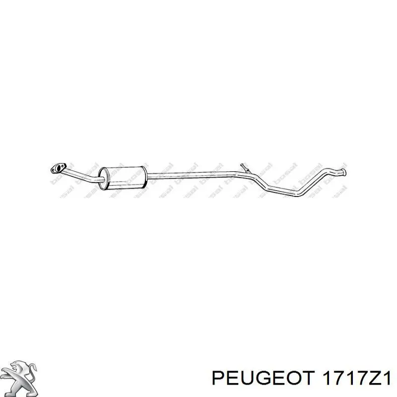 1717Z1 Peugeot/Citroen Середній глушник