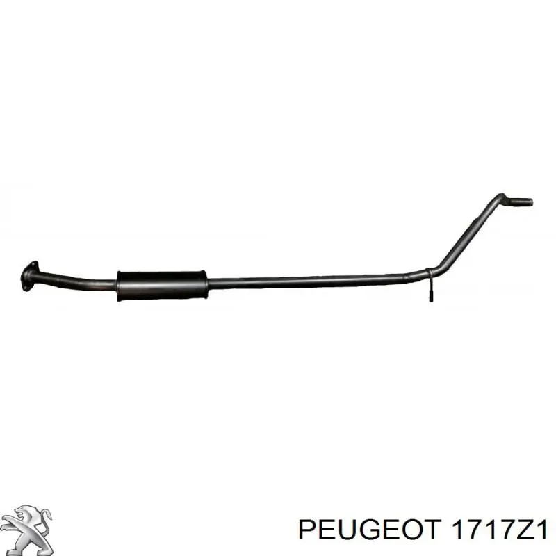 Глушник Peugeot/Citroen 1717Z1 ціна, від 55.58 USD