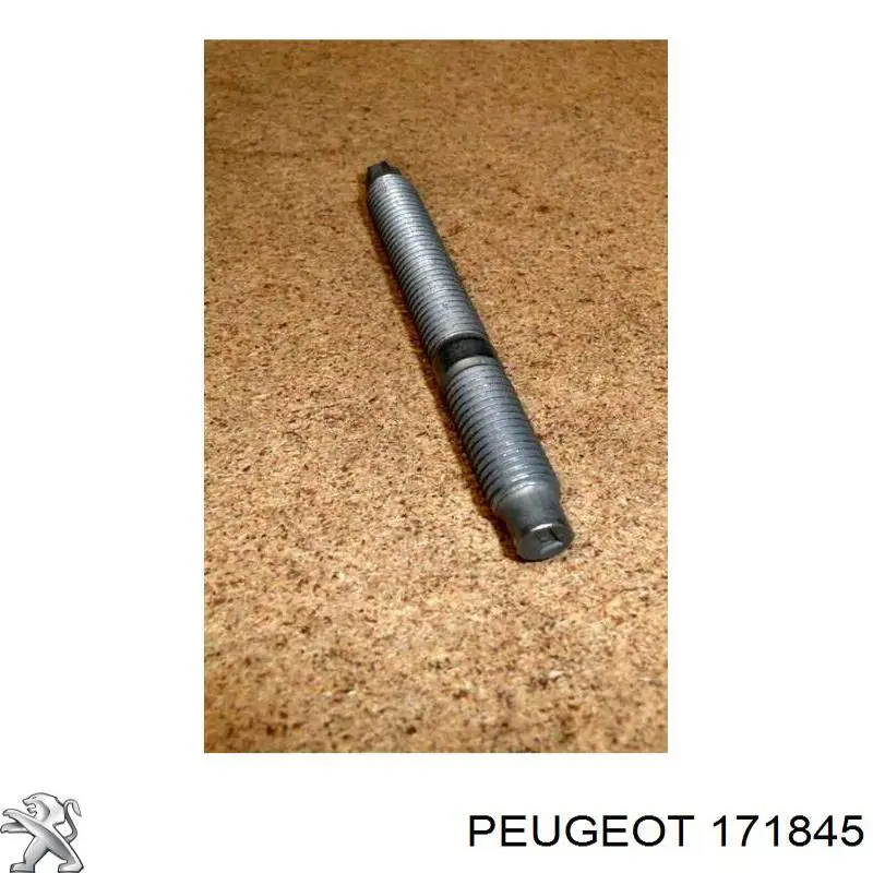 171845 Peugeot/Citroen 