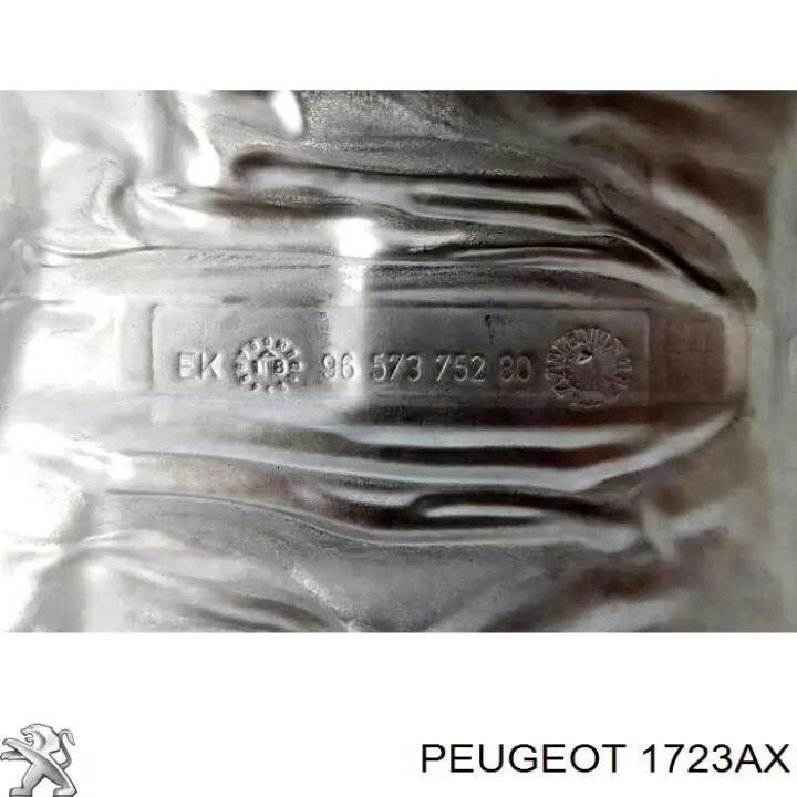  00001723AX Peugeot/Citroen