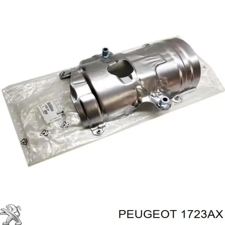  Peugeot/Citroen 00001723AX