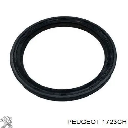 Прокладка випускного колектора Peugeot/Citroen 1723CH
