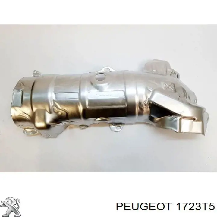 1723T5 Peugeot/Citroen 