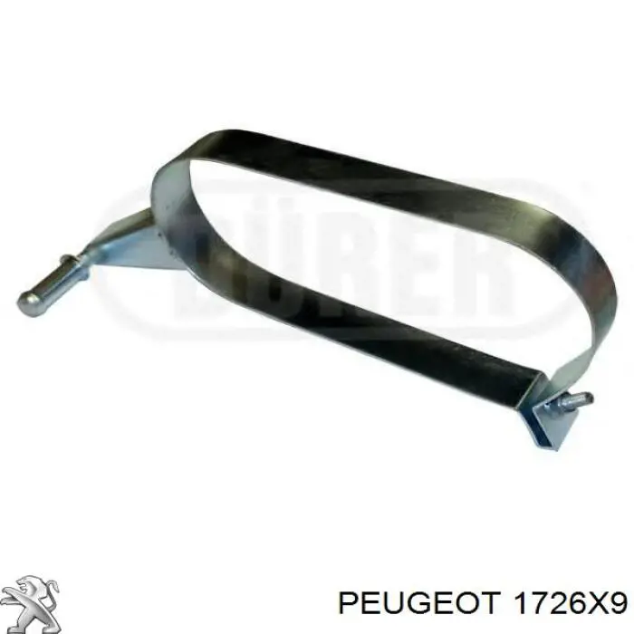 Вихлопна труба Peugeot/Citroen 1726X9 ціна, від 41.09 USD