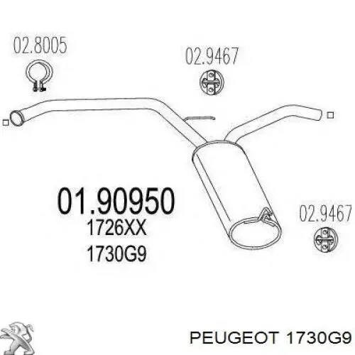 Вихлоп Peugeot/Citroen 1730G9 ціна, від 51.67 USD