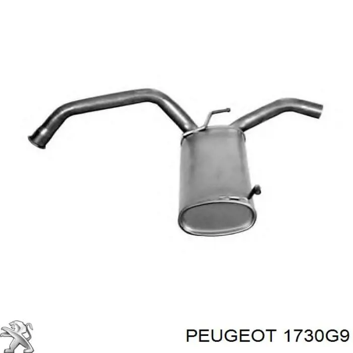 Купити 1730G9 Peugeot/Citroen Глушник вихлопних газів кінцевий