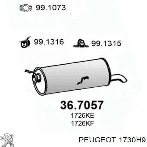 Вихлоп Peugeot/Citroen 1730H9 ціна, від 42.76 USD