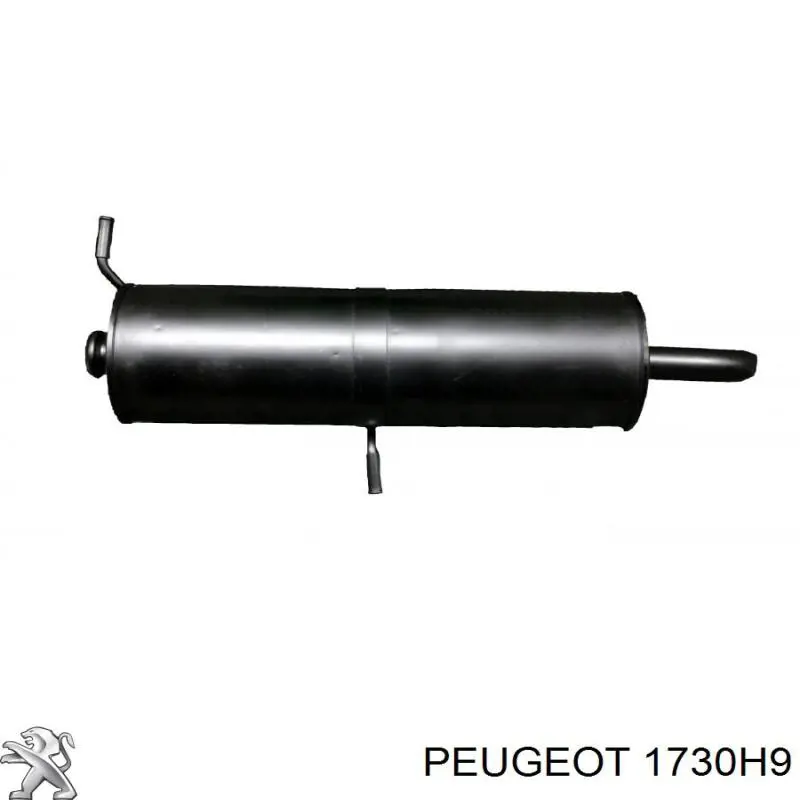 Купити 1730H9 Peugeot/Citroen Глушник вихлопних газів кінцевий