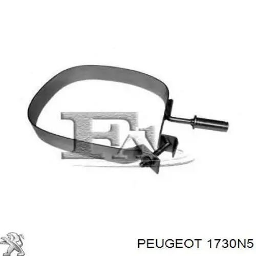 Вихлоп Peugeot/Citroen 1730N5 ціна, від 48.90 USD