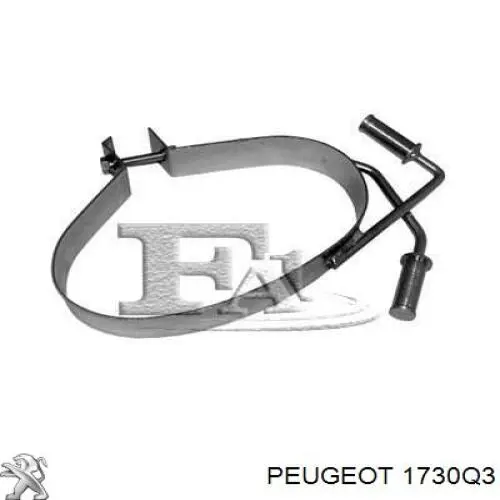 Вихлоп Peugeot/Citroen 1730Q3 ціна, від 13.54 USD