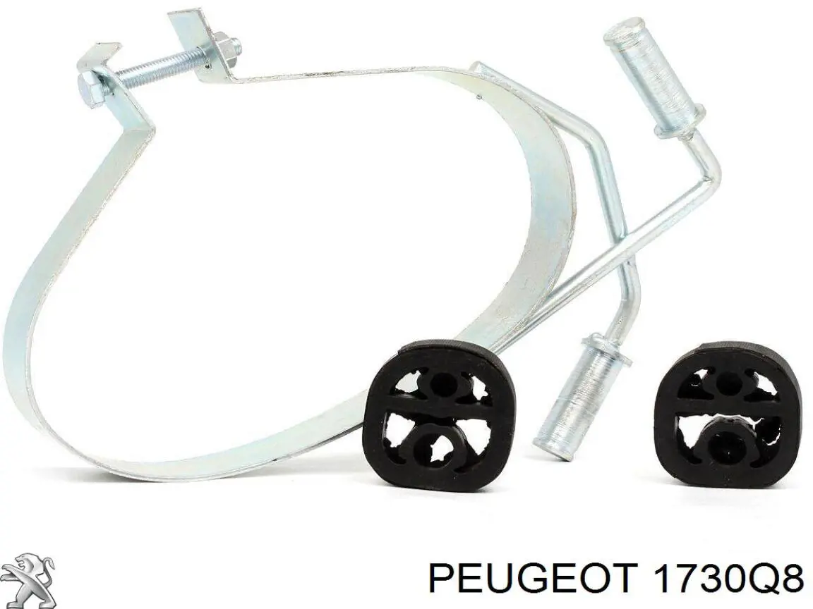 Вихлопна труба Peugeot/Citroen 1730Q8 ціна, від 57.07 USD