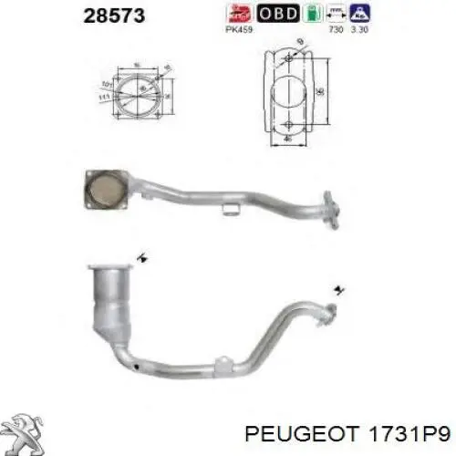 1731P9 Peugeot/Citroen конвертор-каталізатор (каталітичний нейтралізатор)