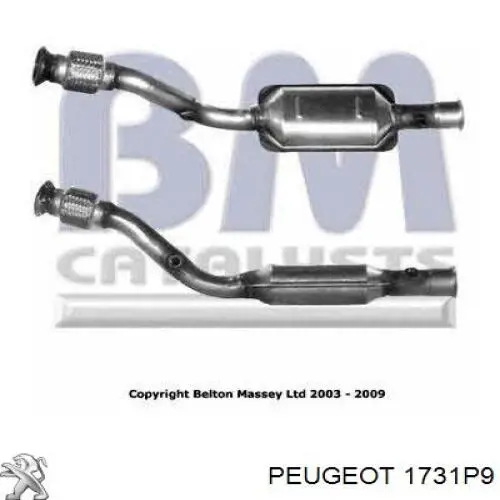 Каталізатор 1706P8 Peugeot/Citroen