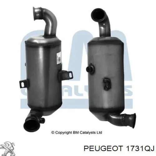 1731QJ Peugeot/Citroen фільтр системи відпрацьованих газів