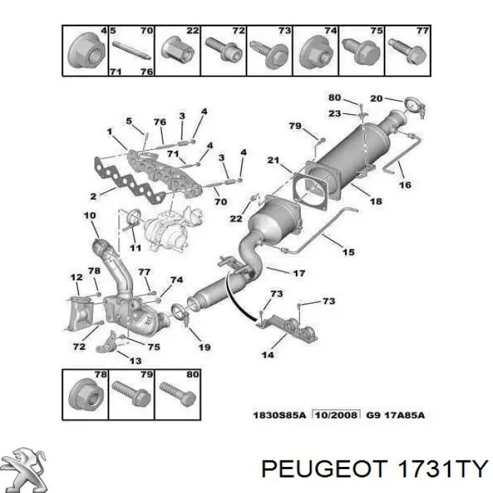1731TY Peugeot/Citroen Каталітичний нейтралізатор відпрацьованих газів