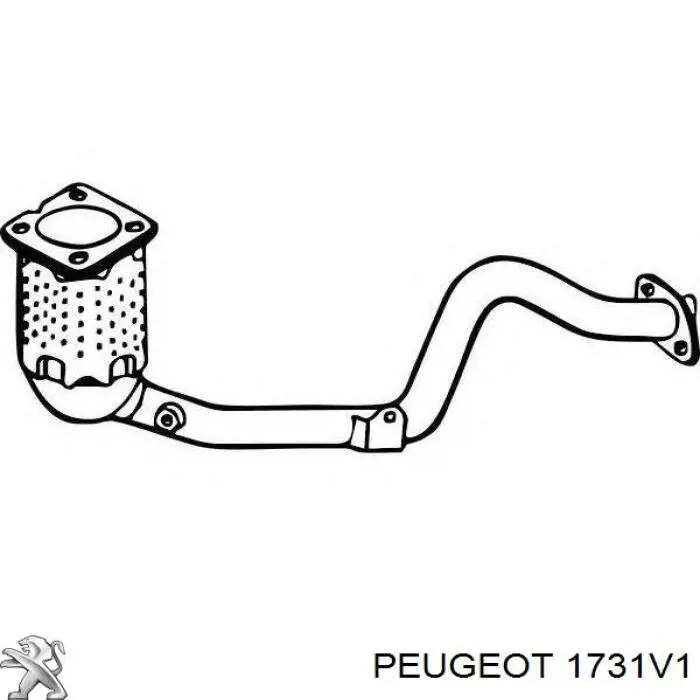  1731V1 Peugeot/Citroen