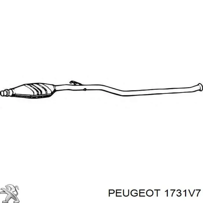 Купити 1731V7 Peugeot/Citroen Перетворювач відпрацьованих газів