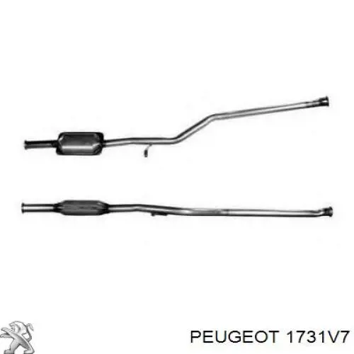 1731V7 Peugeot/Citroen Каталітичний нейтралізатор відпрацьованих газів