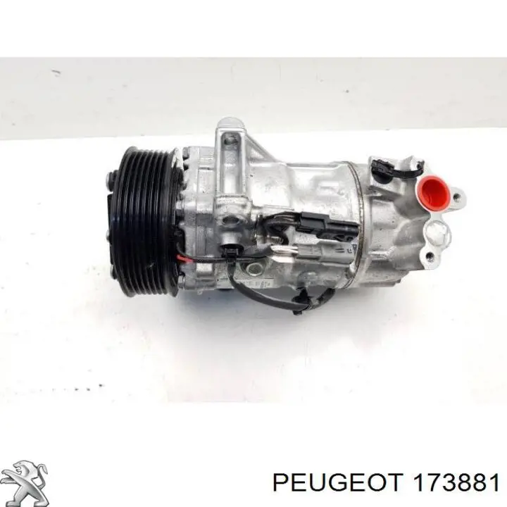  173881 Peugeot/Citroen