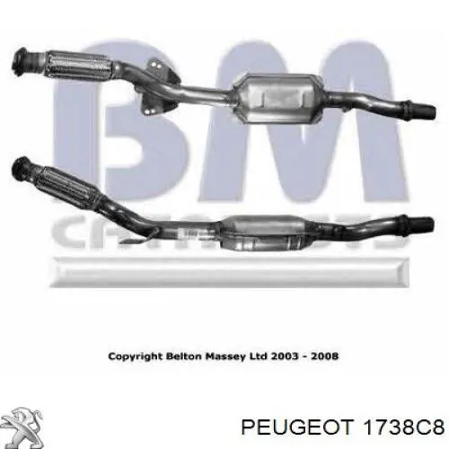 Каталізатор 1738C8 Peugeot/Citroen