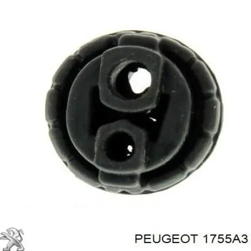 233927 FA1 