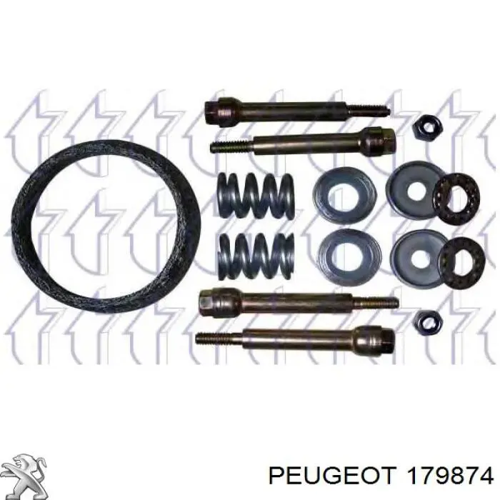 Купити 179874 Peugeot/Citroen 