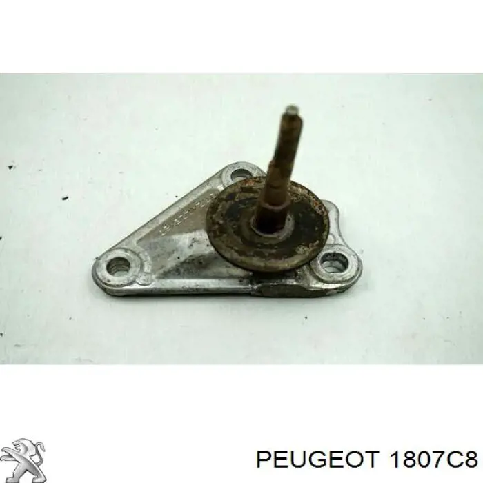 Купити 1807C8 Peugeot/Citroen 