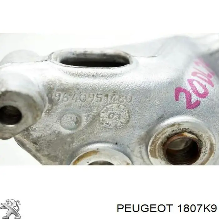  1807K9 Peugeot/Citroen