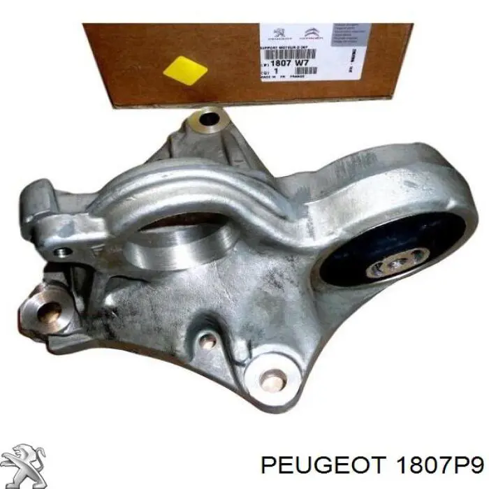1807P9 Peugeot/Citroen подушка (опора двигуна, задня (сайлентблок))