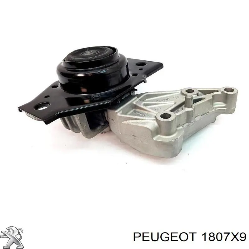 1807X9 Peugeot/Citroen подушка (опора двигуна, задня (сайлентблок))