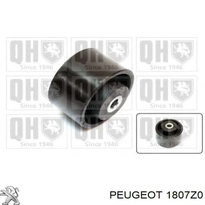 1807Z0 Peugeot/Citroen Задня подушка двигуна