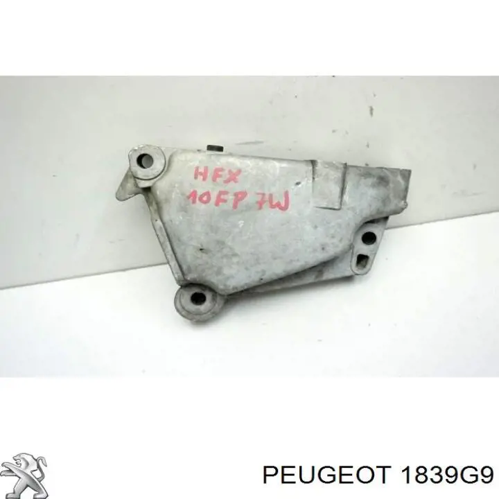 1839G9 Peugeot/Citroen 