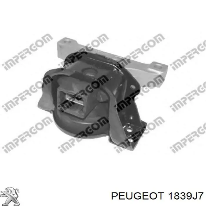 Права подушка двигуна Corteco 49402609 ціна, від 75.98 USD