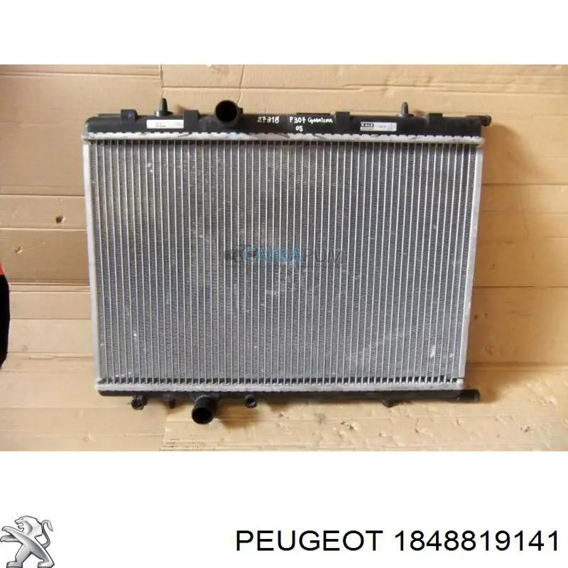 1848819141 Peugeot/Citroen