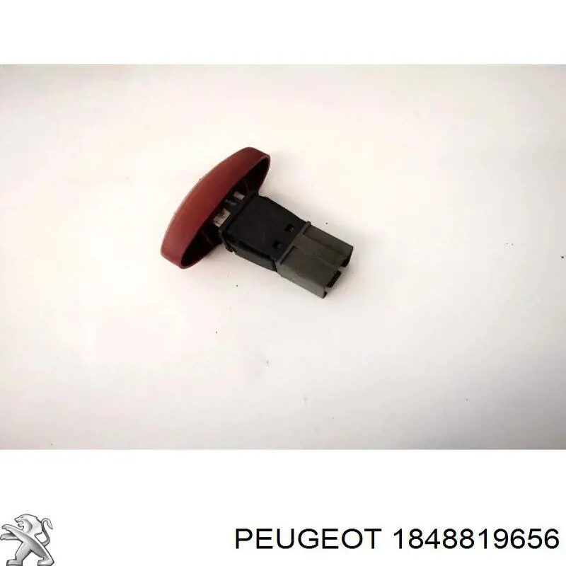 1848819656 Peugeot/Citroen 