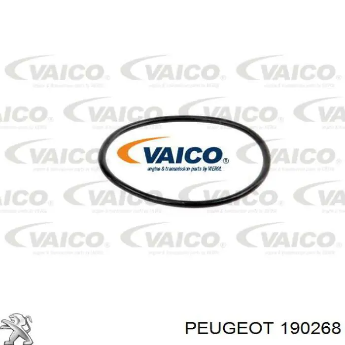 190268 Peugeot/Citroen Кронштейн паливного фільтра