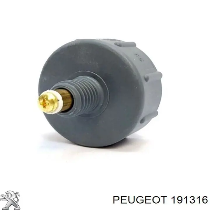 Датчик рівня води паливного фільтра Peugeot Expert (224) (Пежо Експерт)