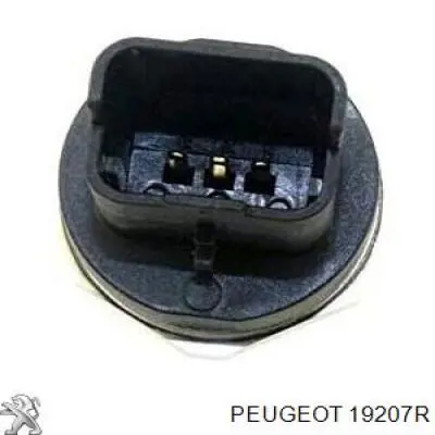 19207R Peugeot/Citroen Манометри