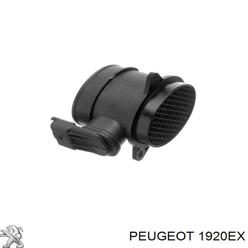 Витратомір повітря Peugeot/Citroen 1920EX