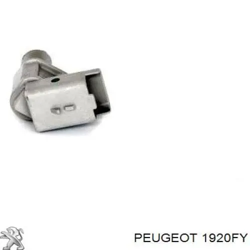 Купити 1920FY Peugeot/Citroen ДПРВ