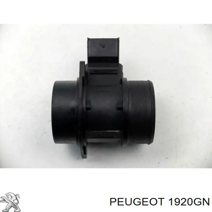 Купити 1920GN Peugeot/Citroen Повітромір