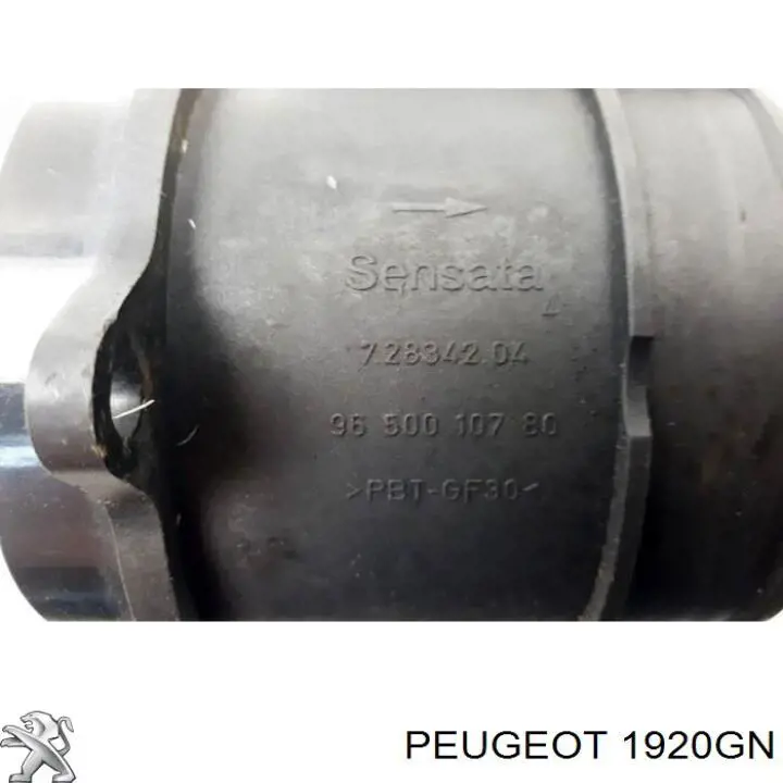Витратомір повітря Peugeot/Citroen 1920GN
