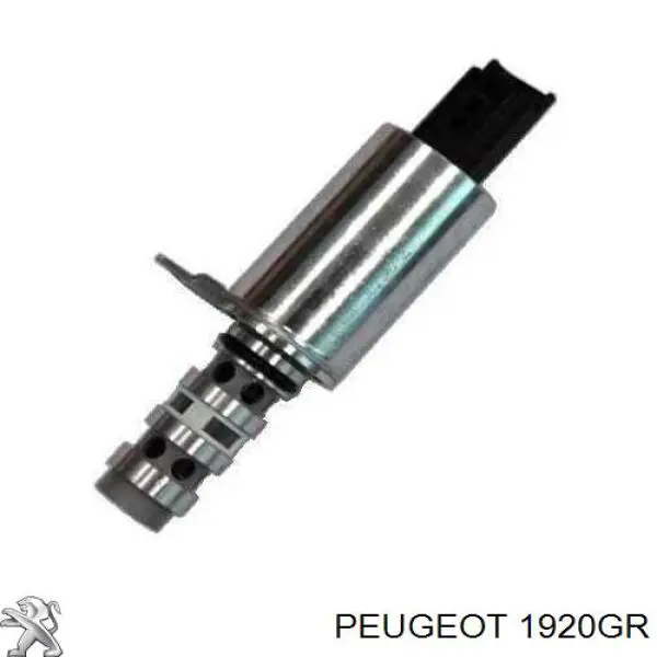 Купити 1920GR Peugeot/Citroen Клапан фазорегулятора