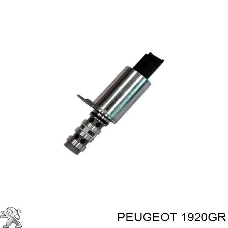 Клапан фазорегулятора 1920GR Peugeot/Citroen
