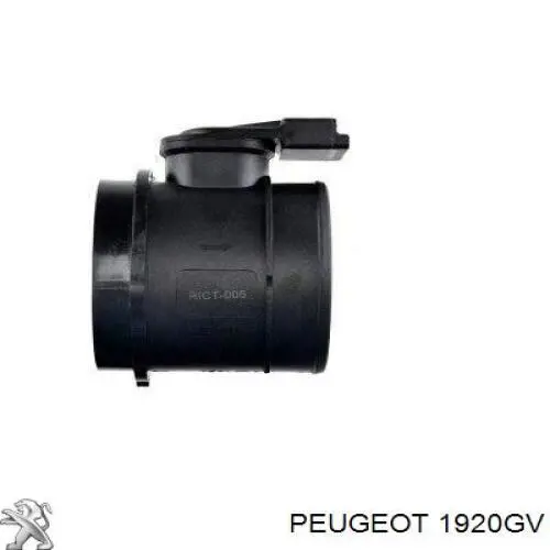 Купити 1920GV Peugeot/Citroen Повітромір