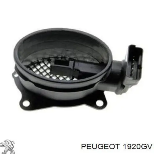 Купити 1920GV Peugeot/Citroen Повітромір